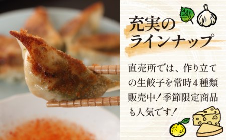  冷凍生餃子 5種類 64個 (餃子のタレ付) 食べ比べセット！ 国産豚肉 国産野菜