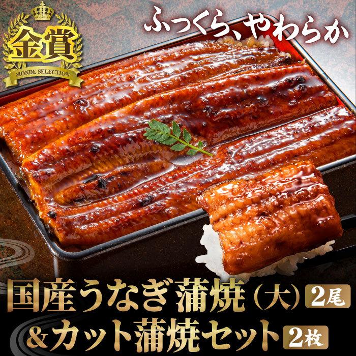 国産うなぎ 蒲焼き 長蒲焼（大）2尾＆カット蒲焼2枚セット お歳暮 鰻 ウナギ プレゼント 贈答 内祝い 贈り物 グルメ 高級 大きめ 送料無料