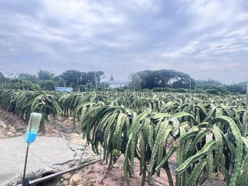 南投名間｜臨路平坦｜近國三優質農地10361｜南投縣名間鄉竹圍段