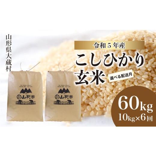 ふるさと納税 山形県 大蔵村 令和5年産 大蔵村 コシヒカリ  60kg定期便 （10kg×6回発送）