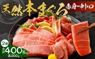 極上！たね熟天然本まぐろ赤身＆中トロセット(400g 各200g)