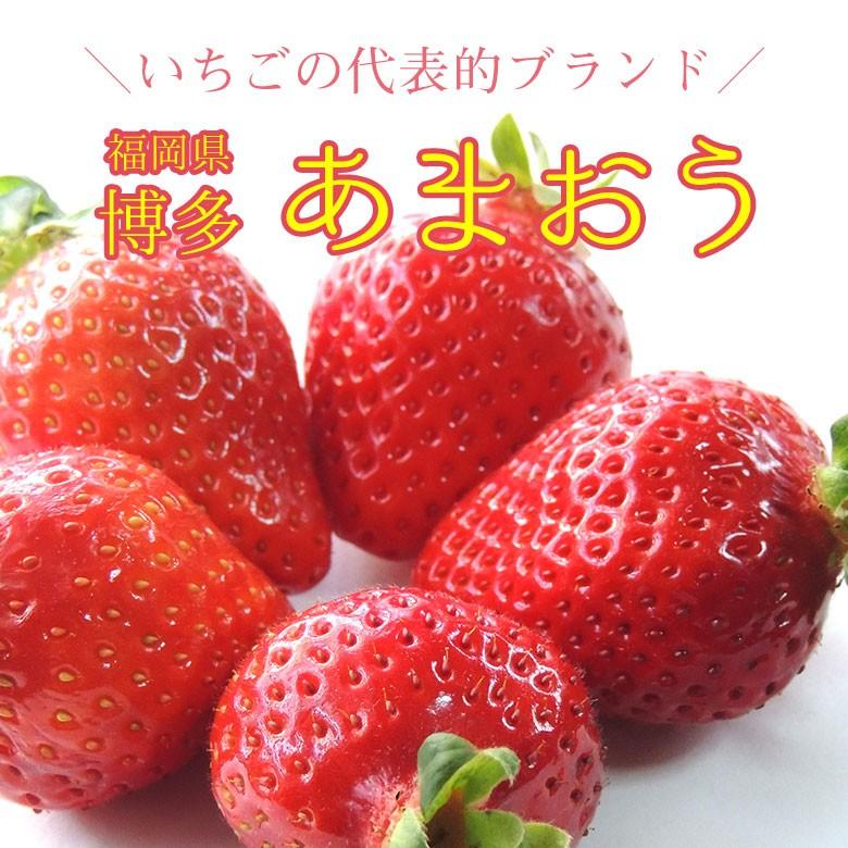 いちご イチゴ 福岡 博多 あまおう 苺 秀品 特大 大粒 L 2L サイズ 2箱 4パック入り 270g 4パック デラックス DX 秀品 ご家庭用 ギフト プレゼント