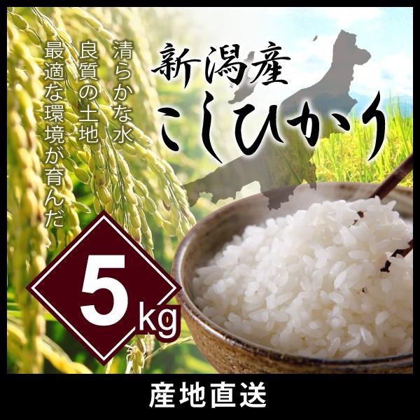 新潟県産コシヒカリ 5kg お米 ご飯 美味しい 白米