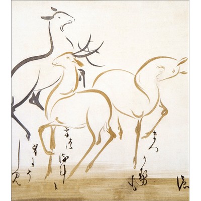 色紙〈鹿下絵新古今和歌巻断簡(部分)〉書：本阿弥光悦 画：俵屋宗達 