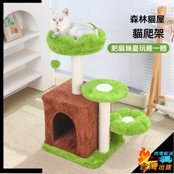【台灣出貨】貓爬架 貓爬柱 貓咪跳台 逗貓球 小型樹洞 貓咪玩具 貓窩 貓抓板一體 小戶型不佔地  家用觀景臺