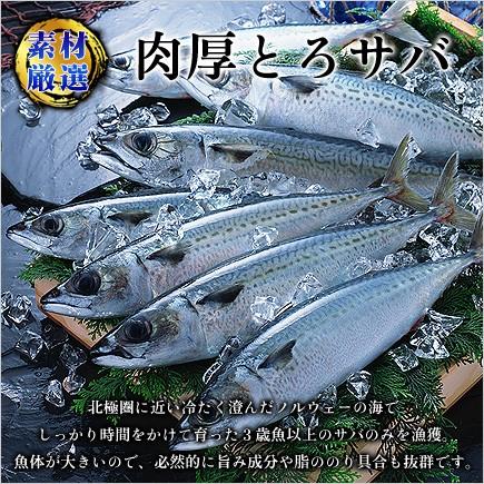 干物 肉厚 とろサバ 開き 特大サイズ 2枚入 鯖 さば サバ 一夜干し プレゼント