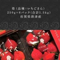 『予約受付』唐津産 いちごさん 250g×6パック(合計1.5kg) 濃厚いちご 苺 イチゴ 果物 フルーツ