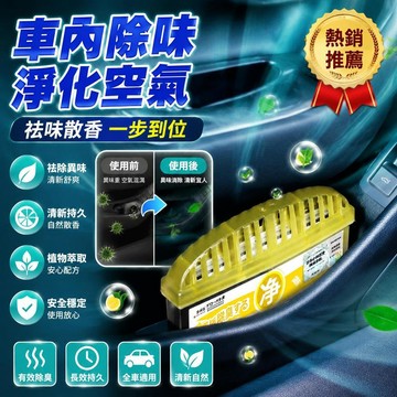 🚀隔日現發🚀車內除臭 車內除味盒 除異味 空氣凈化劑 空氣清新劑 去除異味神器 除臭芳香劑 煙味除臭劑