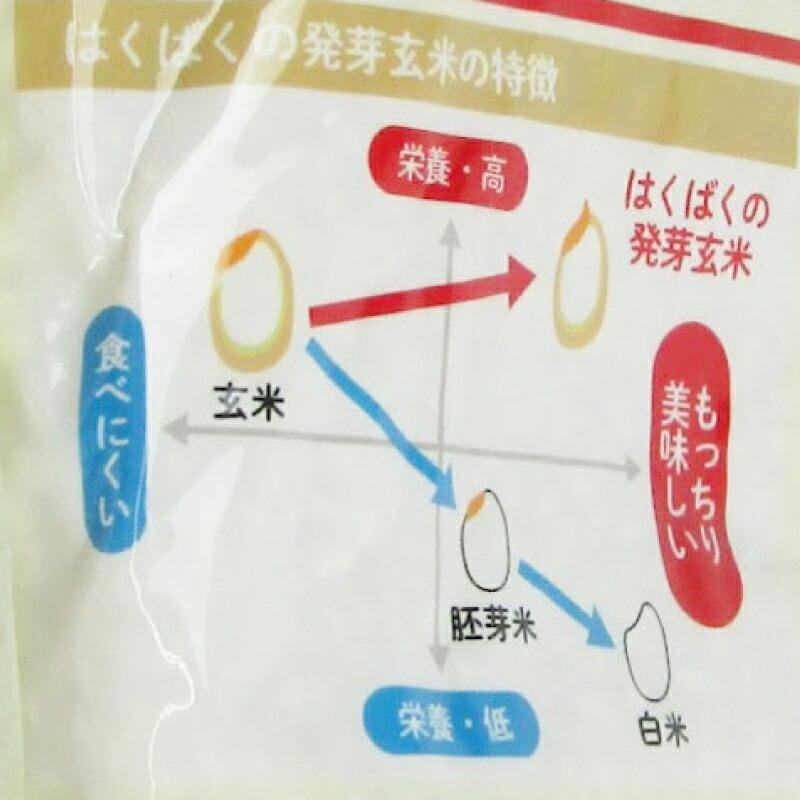 米 お米 こめ 玄米 発芽玄米はくばく もっちり美味しい発芽玄米 1kg