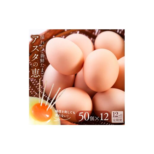 ふるさと納税 茨城県 行方市 U-6 ◆12ヵ月定期便◆ 黄身がしっかり濃厚な卵50個×12