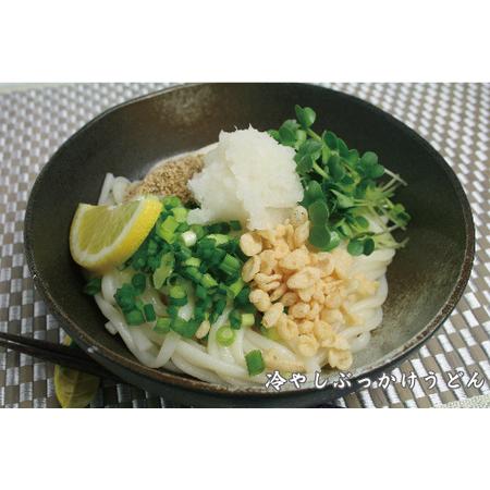 ふるさと納税 ふっくらモチモチ神埼生うどん 20袋入 (H014114) 佐賀県神埼市