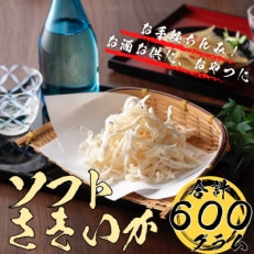 ソフトさきいか(100g×6パック・計約600g)