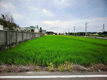 彰化線西鄉特定農業區農地｜彰化縣線西鄉重振段