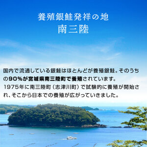 宮城・三陸産「伊達のぎん」銀鮭「お刺身サーモン」約700g