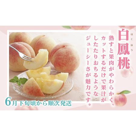 ふるさと納税 ＜2024年先行予約＞計4kg以上 2kg以上(5〜8玉)×2 180-007 山梨県笛吹市