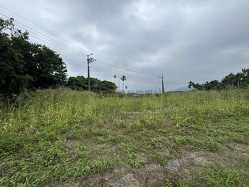 高樹市區旁#超優質#臨大馬路旁都農地3 11598｜屏東縣高樹鄉豐源段