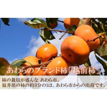 ふるさと納税 越前柿 16〜20玉入 M〜2L 《種なしで食べやすく甘い！》 あわらブランド ／ 期間限定 果物 フルーツ 産地直送 旬 お.. 福井県あわら市