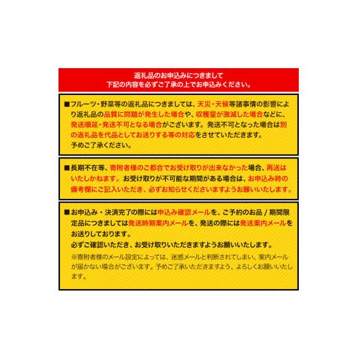 ふるさと納税 和歌山県 紀の川市 あら川の桃 (ご家庭用) 約3.5-4kg (15-16個) 橋村農園《2024年6月下旬-8月上旬頃より順次出荷》和歌山県 紀の川…