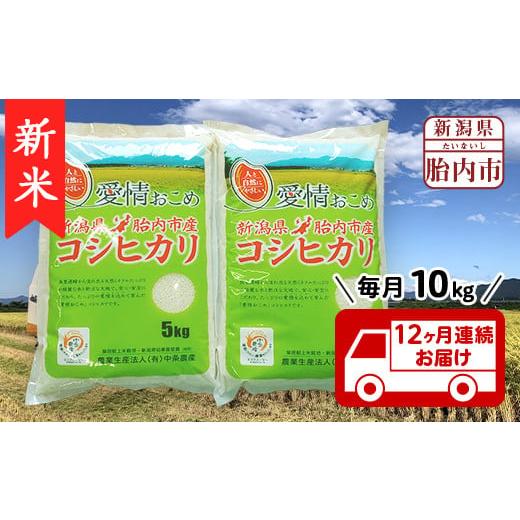 ふるさと納税 新潟県 胎内市 16-K10Z新潟県胎内市産コシヒカリ10kg（5kg×2袋）