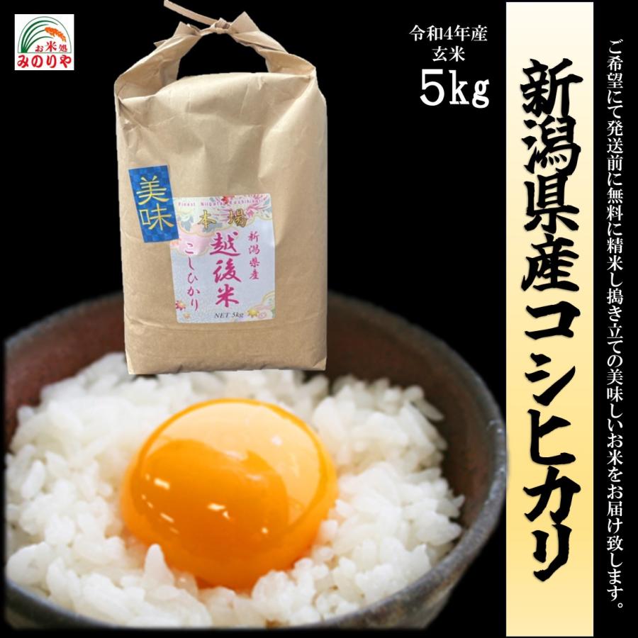 送料無料! 令和5年産　新潟県産コシヒカリ　玄米　５ｋｇ