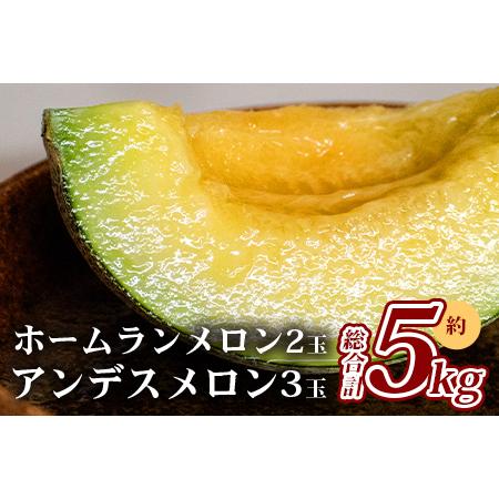 ふるさと納税 熊本県産 ホームランメロン アンデスメロン 食べ比べ 計5玉 約5kg【 令和6年 先行 御予約.. 熊本県多良木町