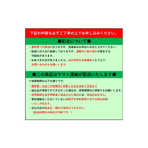 ふるさと納税 群馬県 前橋市 K-03　あかぎ熟成生ハム原木（７~８kg程度）