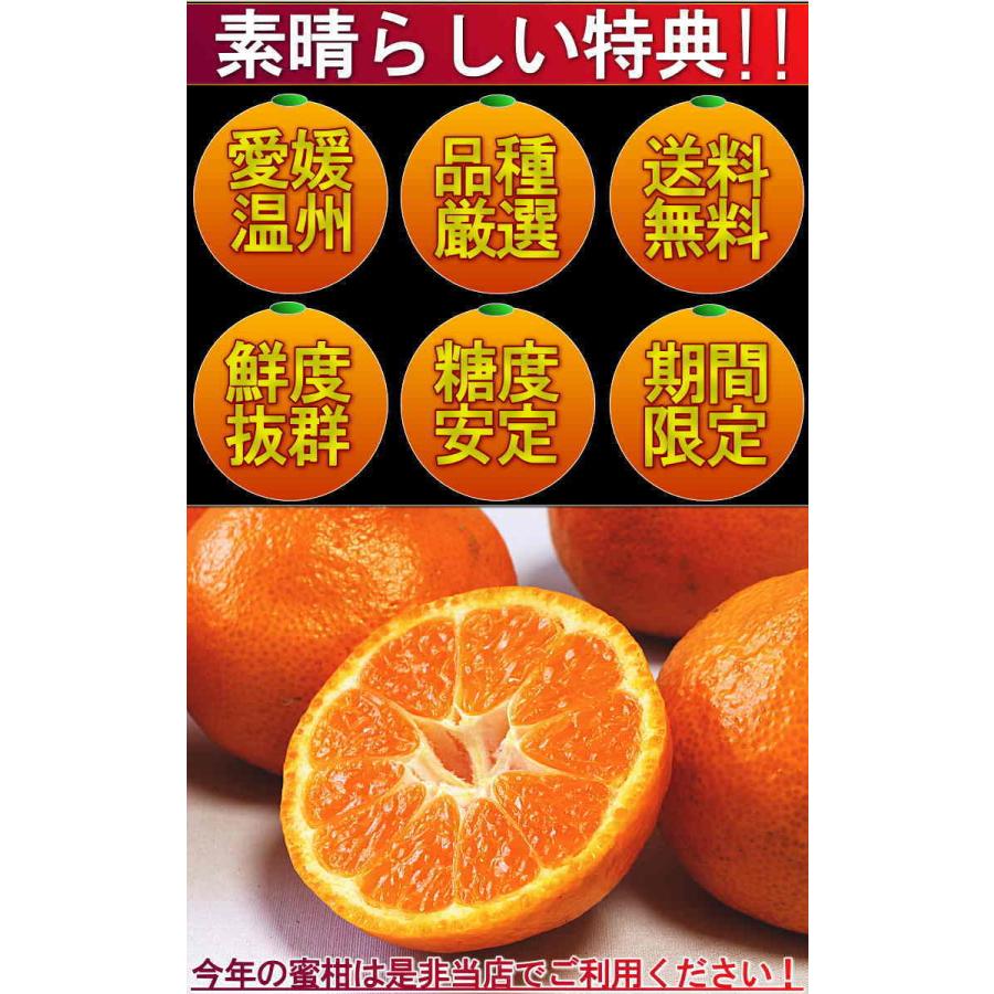 宇和の太陽 温州みかん 約5kg 愛媛県産 小玉限定 S〜3Sサイズ 柑橘 えひめ蜜柑 3つの太陽 愛の溢れる完熟ミカン