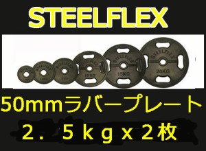 オリンピックプレート 10kg 2枚セット STEEL FLEX