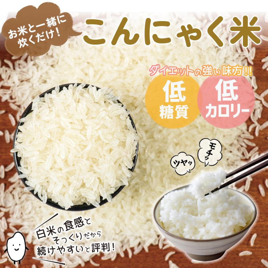 こんにゃく米 600g (60g×10袋) 食品 送料無料 ポスト投函