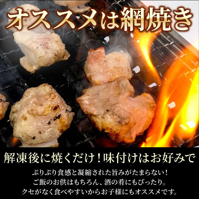 厳選国産牛　特選ホルモン（牛もつ） 600g（200g×3袋） モツ 小腸 冷凍 国産牛 お肉 牛肉 お取り寄せ 送料無料