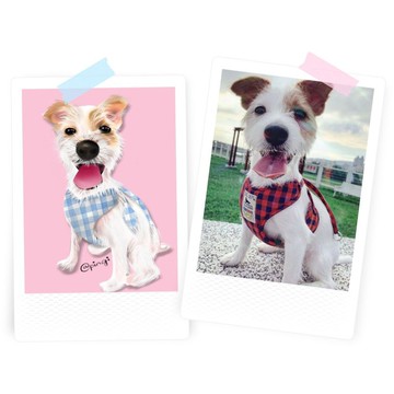 客製寵物狗畫像肖像畫毛孩似顏繪((米克斯/浪浪/傑克羅素梗/梗犬