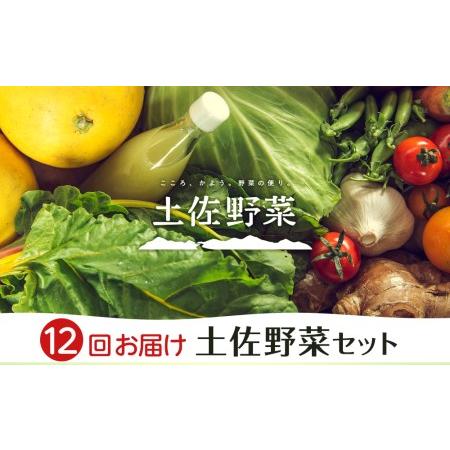 ふるさと納税 土佐野菜セット 高知県南国市