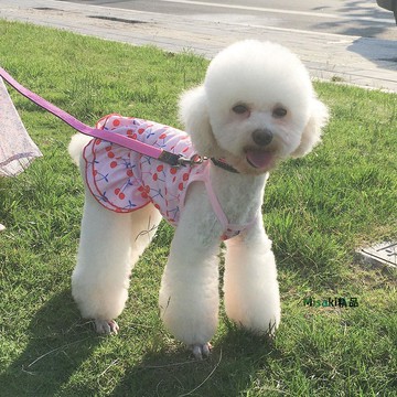 寵物衣服吊帶裙狗狗泰迪比熊博美小型犬幼夏季薄款雙層波浪大裙擺-Misaki精品