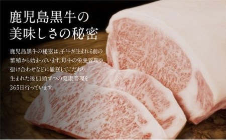 5等級 鹿児島黒牛サーロインステーキ4枚 牛肉 冷凍 バーベキュー BBQ JA食肉かごしま