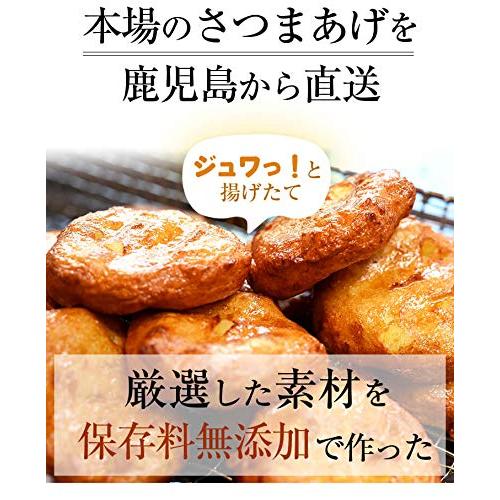 お試し さつま揚げ 鹿児島 揚立屋 おふたり様セット さつまあげ