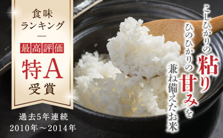 森のくまさん 無洗米 10kg（5kg×2袋）お米 コメ 熊本 特A 精米 ごはん 特産品 定期便 [ZBP060]