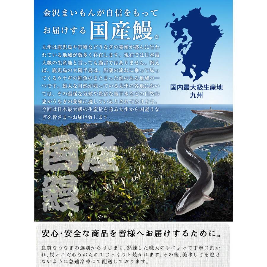 うなぎ 鰻 ウナギ 国産 うなぎ蒲焼 大サイズ蒲焼1尾 解凍前約200g(解凍後約185g)