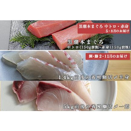 ふるさと納税 本マグロ・鯛・ブリのお刺身を堪能! 計4回 高知県大月町