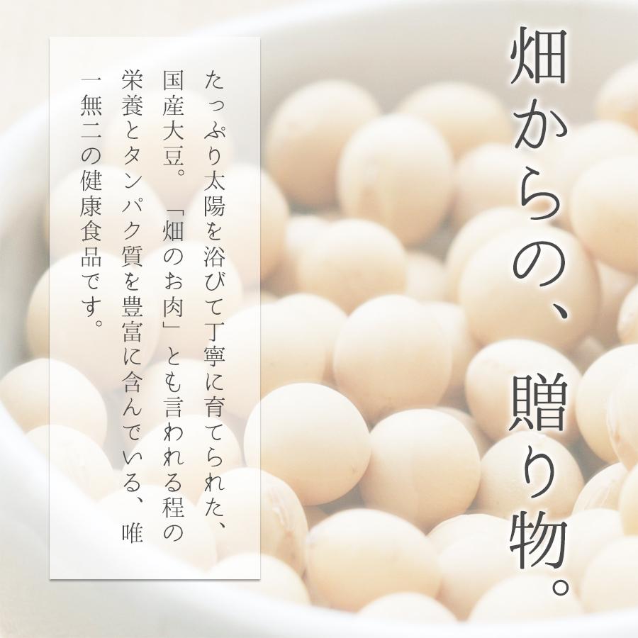 カレー レトルト 大豆カレー 中辛 国産  送料無料 博多 長期常温保存 カレー 200g×3パック メール便