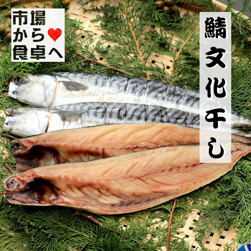 さば文化干し 鯖の干物 6枚(特大サイズ1枚当たり約170g)脂のっています