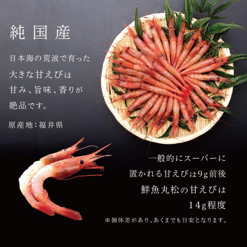 福井県 越前産 エビ 甘エビ 海老 えび 大サイズ 1kg (1箱：250g × 2パック)×２箱 小分け包装 送料無料 内祝い お歳暮 プレゼント ギフト 年末年始