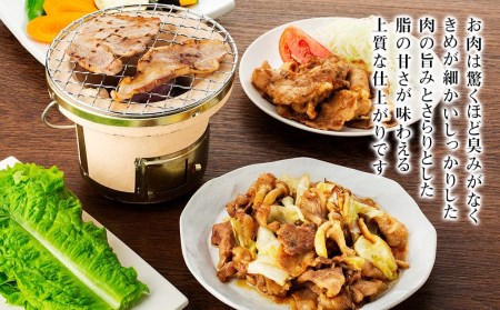 田んぼ豚200g×6品セット1.2kg（放牧とお米で育った希少な豚肉）