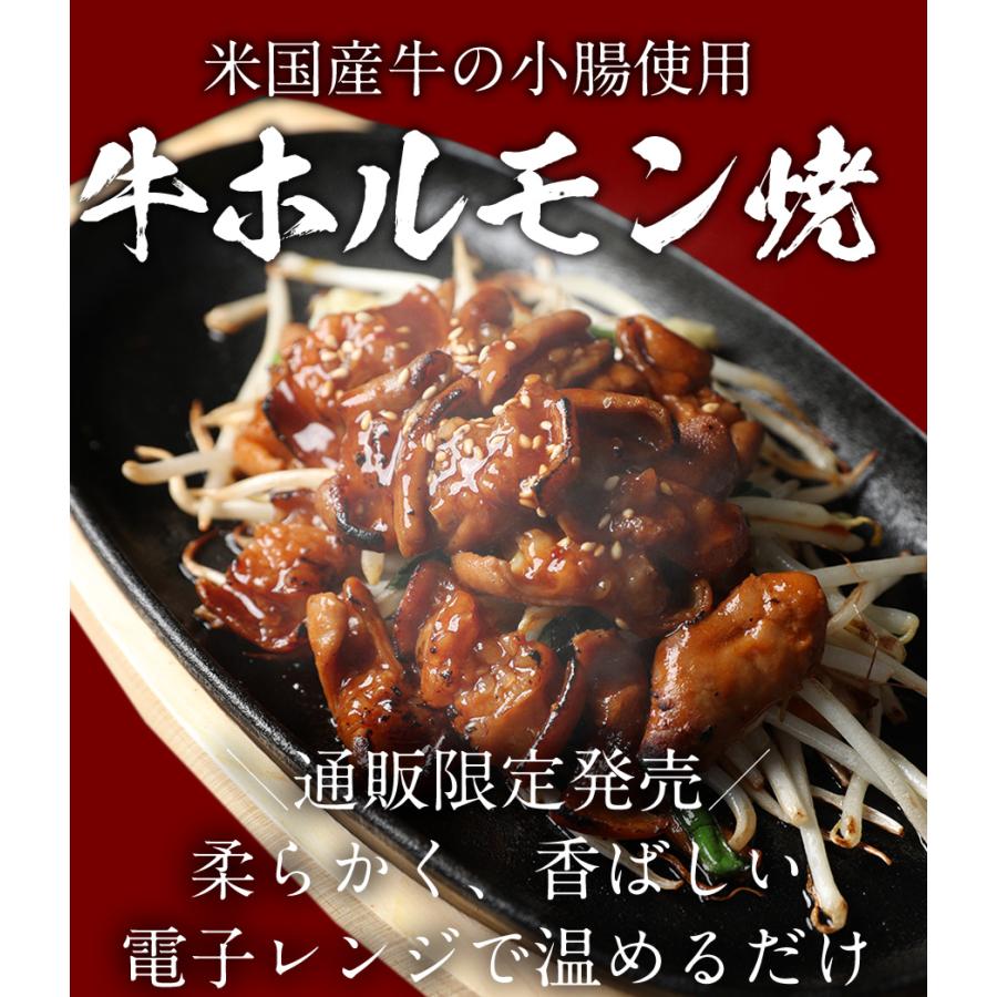 牛丼 牛丼の具 牛ホルモン焼き15個＆松屋オリジナルカレー15袋セット 通販限定発売 セット 冷食 肉 絶品 レンジ 仕送り 業務用 食品 おかず お弁当 冷凍 子供