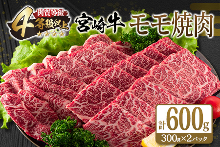 宮崎牛モモ焼肉(計600g)　肉　牛　牛肉 C70-21
