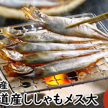 北海道産ししゃもメス大30尾 北海道 稀少 魚シシャモ メス おつまみ