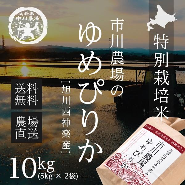 新米 ゆめぴりか 10kg 送料無料 北海道米 農家直送 令和5年産 北海道旭川産 お米 米 直前精米 ギフト