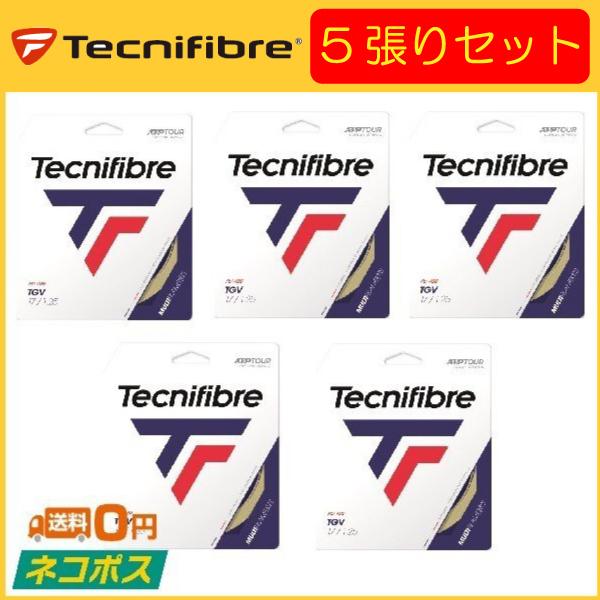 Tecnifibre テクニファイバーTGV ティージーブイ TFSG200 5張りセット