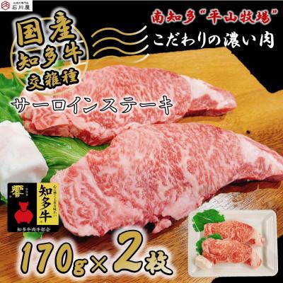 ふるさと納税 南知多町 牛肉 サーロインステーキ 170g×2枚 知多牛 響