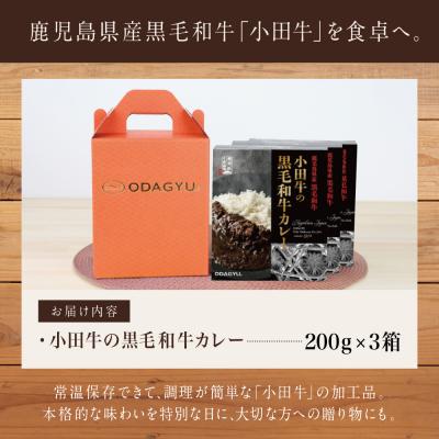 ふるさと納税 南さつま市 鹿児島県産黒毛和牛「小田牛」 黒毛和牛カレー 3食(200g×3)