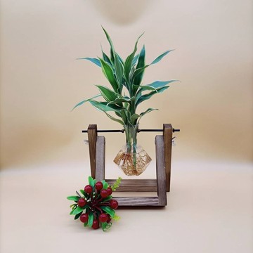 水培植物 斑葉萬年青 開運竹 懶人植栽 創意木架 室內植物